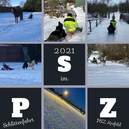 Schlittenfahrten 2021 im PSZ