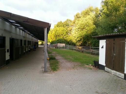 2 Stallgasse 30 Boxen offen rechts und links 