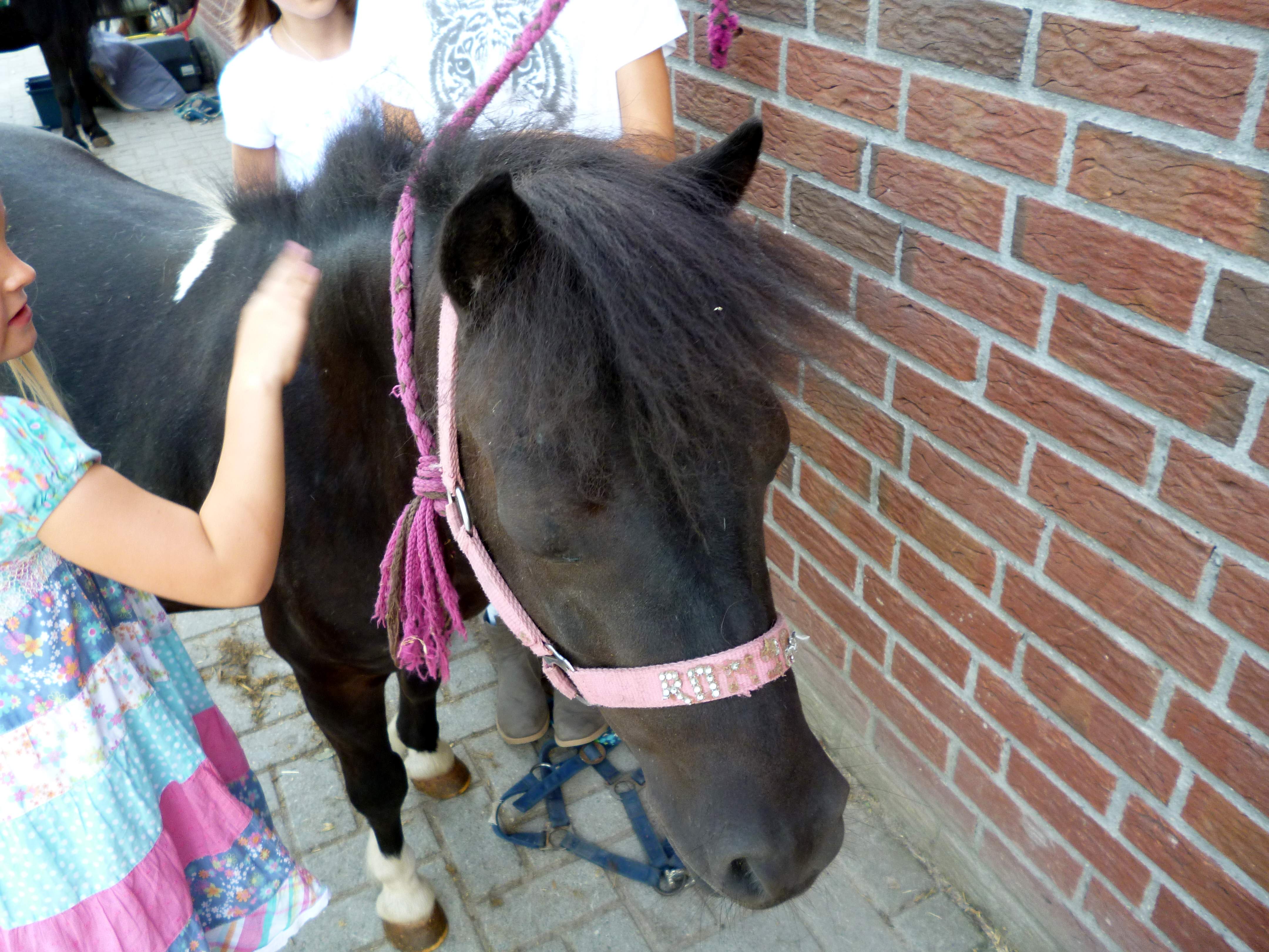 kindergeburtstag-psz1